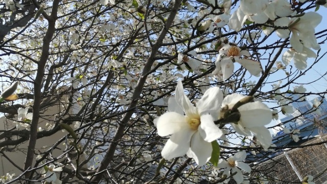 【22卒】必勝！！面接で受かるには★