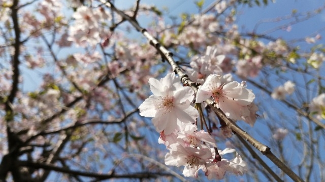 3月弊社企業説明会(^^)