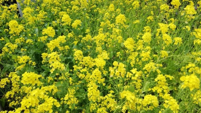 ☆新卒1年目になる皆様へ☆