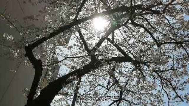 【web型】企業説明会の応募はこちらから↓↓