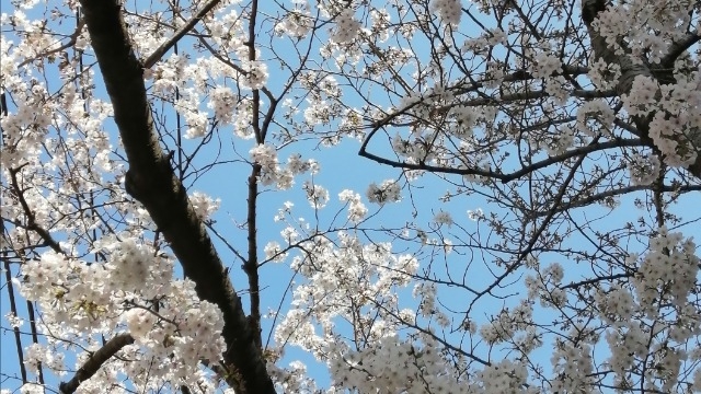 【4月】新年度スタート！！