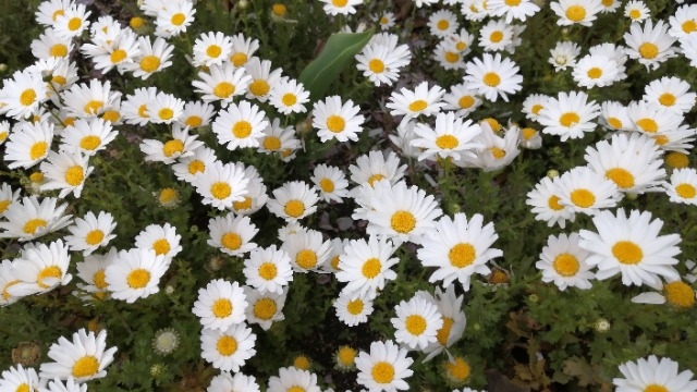 休日の過ごし方♡