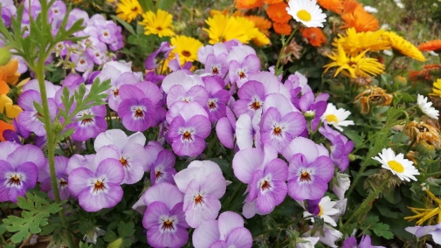 お申込みは下記URLから★