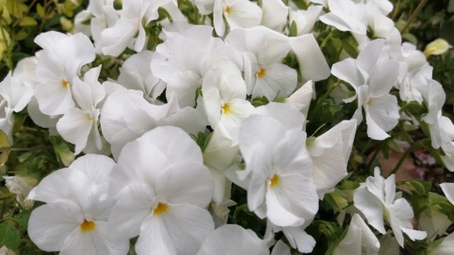 【22卒】面接対策③