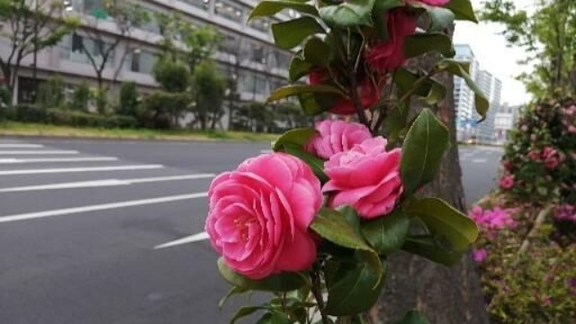 就職活動をする中で気をつけること★