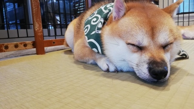 22卒の皆様からの質問