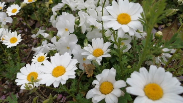 就職活動する上で