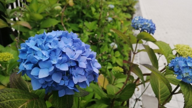 通りがけに見つけたもの★