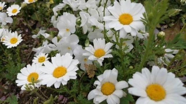 PC一つで仕事ができる社会