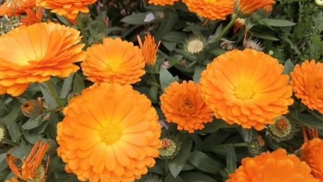 【インターン】SNSマーケター募集