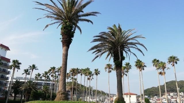 自分に合う企業説明会↓↓