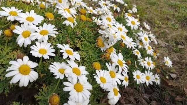 説明会★皆様からのご質問★