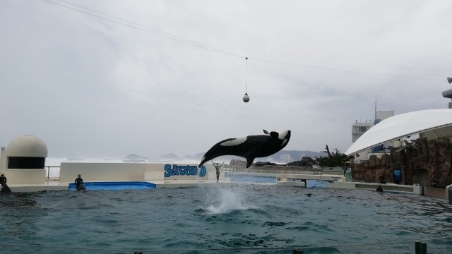 【22卒】就活イベントでのお悩み