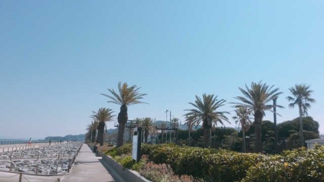 22卒必見！！枠数増加★