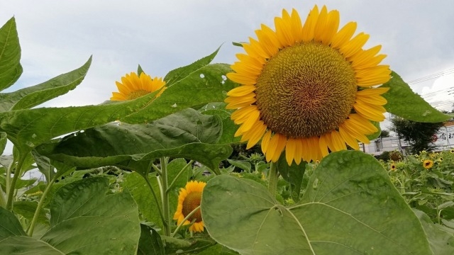 22卒企業説明会