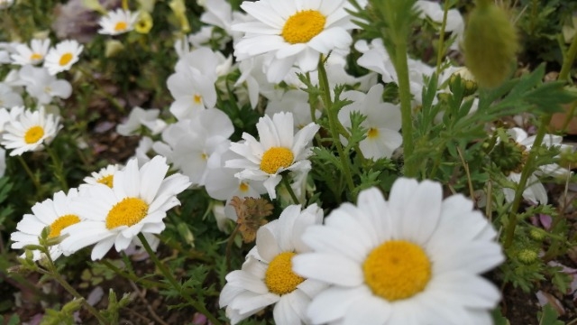 採用担当の視点【面接&選考】