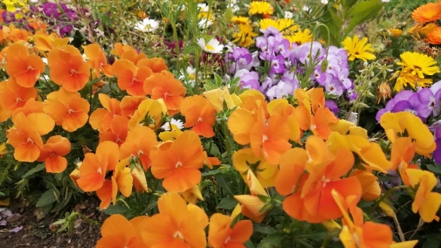 年の締めくくり