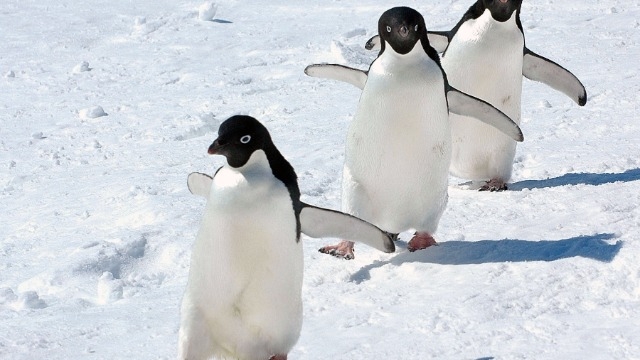 あなたは情報発信のソースまで見てる？