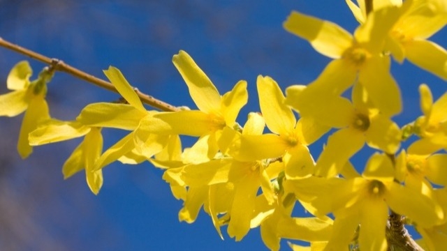 希望を実現するために一歩前へ