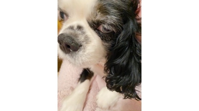 【新卒生の在宅ワーク】