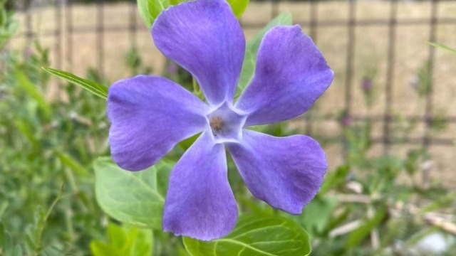 【NLPで変われたこと】