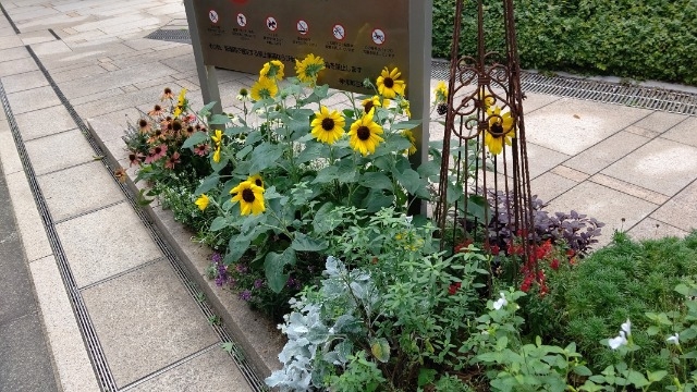 【オフィス近くには。。】