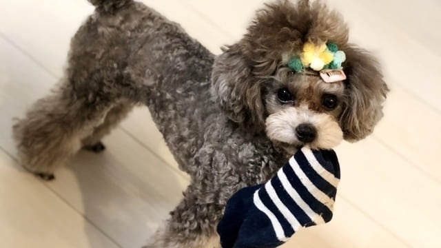 4万円のシェアハウスには住むな。