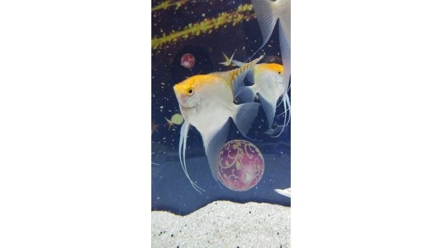 ★社員のとある１日　総務編★