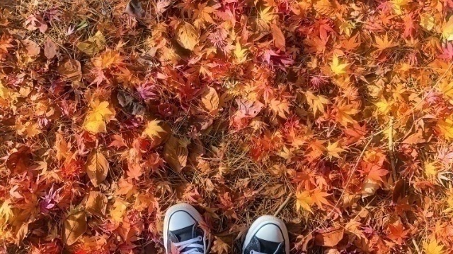 12月に突入！説明会も残り１回('ω')