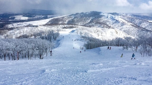花粉ももうすぐ・・!?(株)アーキテクトコア