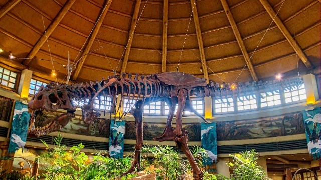 意外な事実にびっくりです！(株)アーキテクトコア