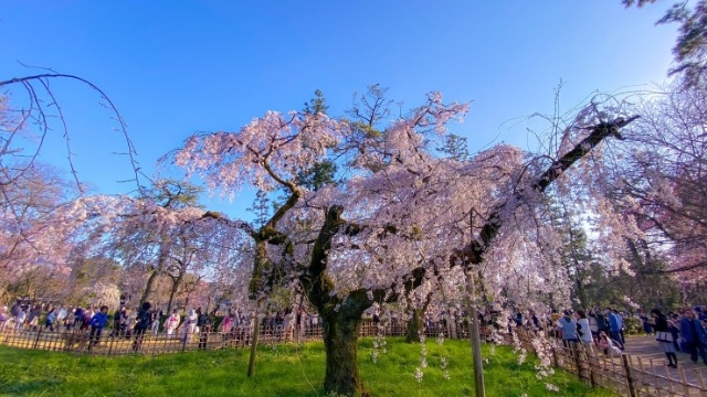 採用活動について(株)アーキテクトコア