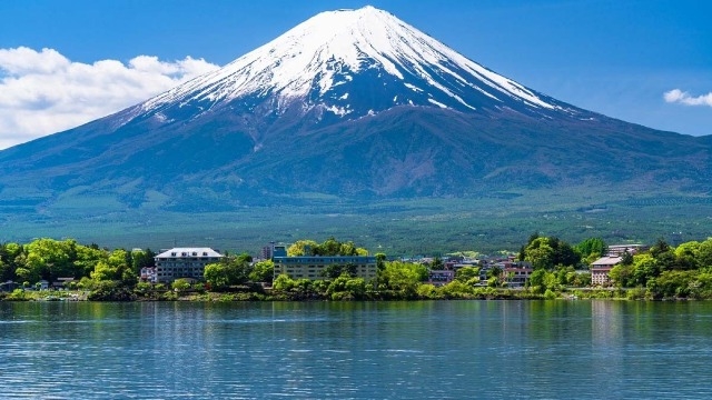 今年は登れないそうです・・(株)アーキテクトコア