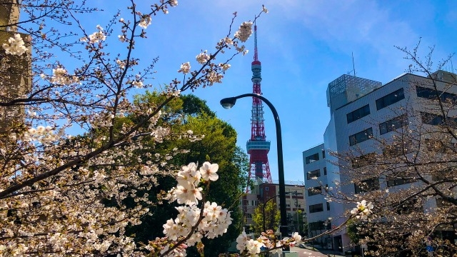 オンライン会社説明会★4月受付中です！