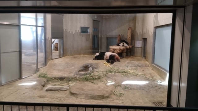 楽しい週末の動物園！