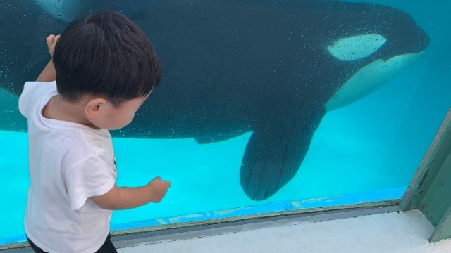 阿南さんの夏休み