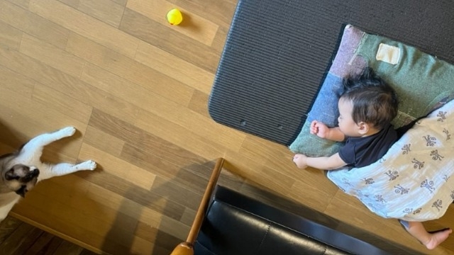 【社員インタビュー】家族ができたからこそ、自分には仕事の意義も増えたよって話