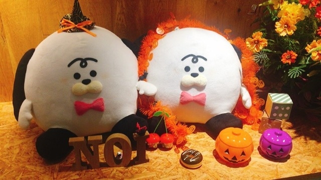 出身学部が業務に関係していないとだめ？