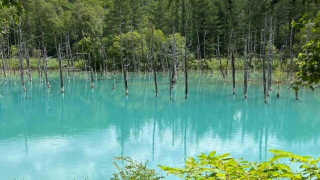 【佐々木のお盆休み♪】