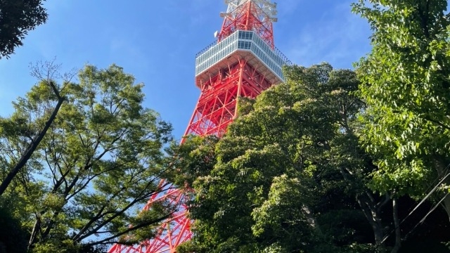 【就活】就活レベルを上げるには？