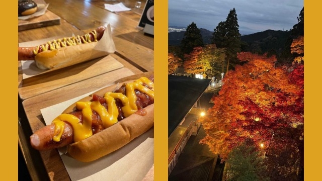 【採用担当ブログ】最近の休日