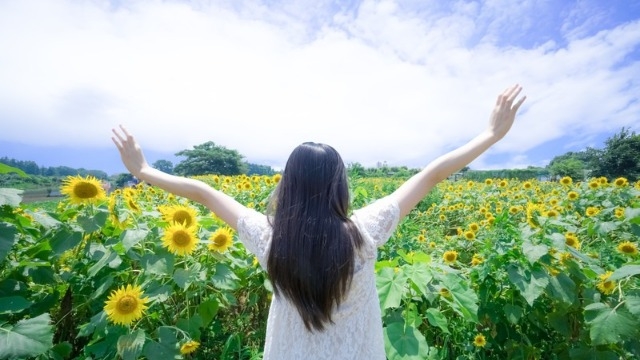 今週は各社インターンの締切日が多いので要注意！