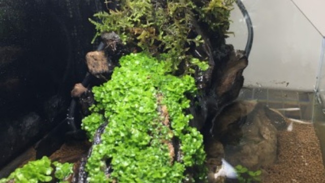 最近の悩み事～社員ブログ傑作選～