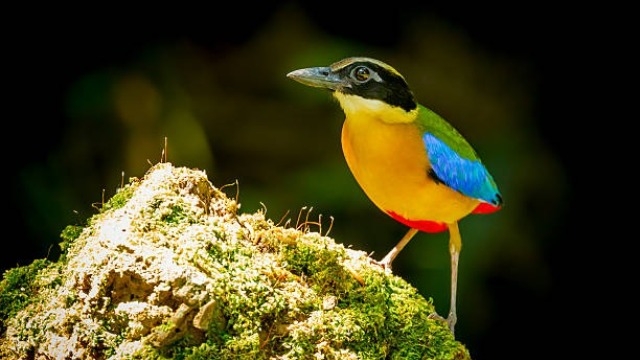 毎日更新ってすごいこと