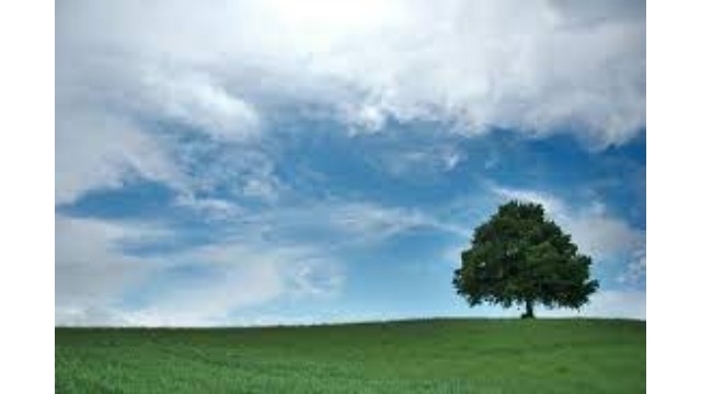 地震は大丈夫でしたか？