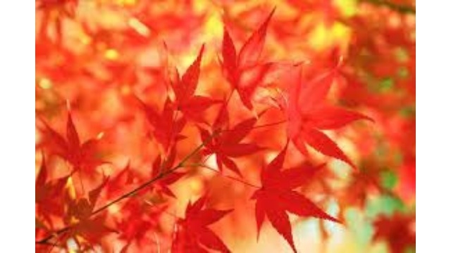 ～休暇を取得しております（2日目）