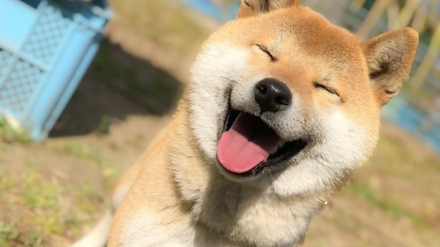 オンライン説明会♪ と、【捉え方のハナシ】