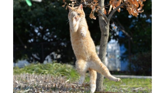 PVがとてつもなく伸びていた(笑)