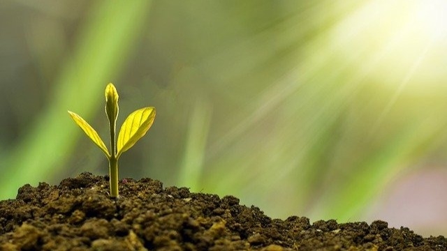 みなさんのおかげで、社員が育ってしまってます♪