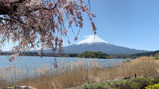 「どこでもいいかも」って思っていませんか？